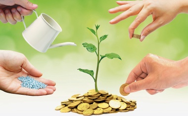 Bio-Based Economy in Europe: Potential Benefits and Risks